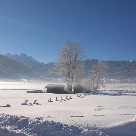 Appartementhaus Wehrenfennig Gosau Zewnętrze zdjęcie