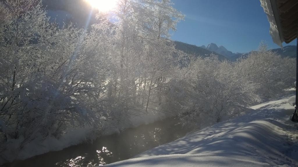 Appartementhaus Wehrenfennig Gosau Zewnętrze zdjęcie